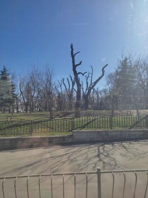 Прикрепленное изображение: 1.jpg